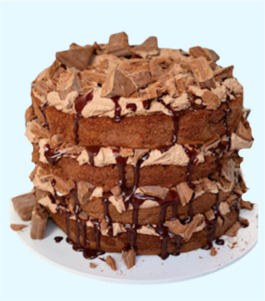 TIM TAM SPONGE
